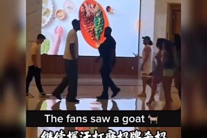 极速突尼斯vs日本直播视频直播免费入口